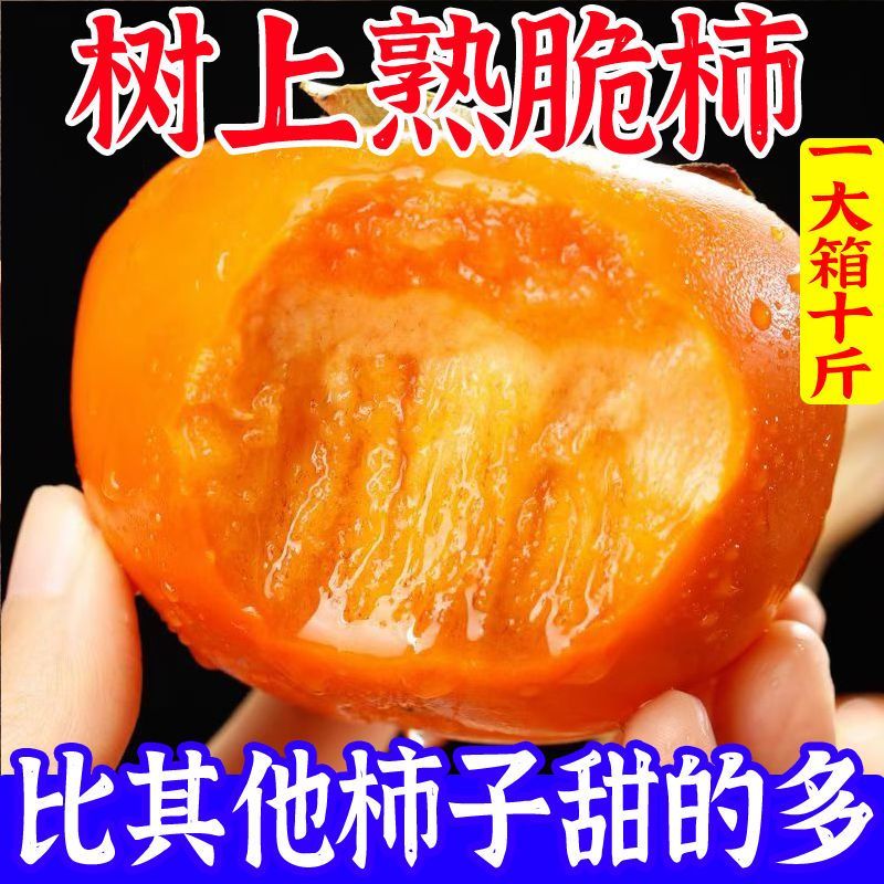 今日特价】巧克力脆柿子脆甜水果冰糖心新鲜现摘时令水果批发整箱