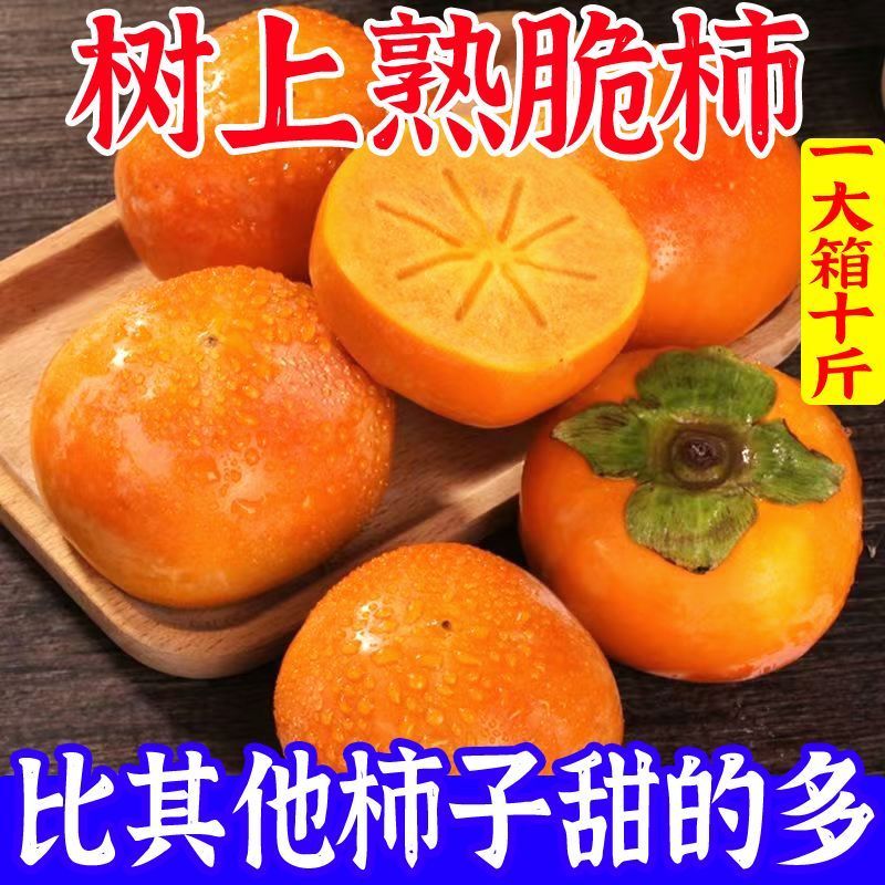 今日特价】巧克力脆柿子脆甜水果冰糖心新鲜现摘时令水果批发整箱