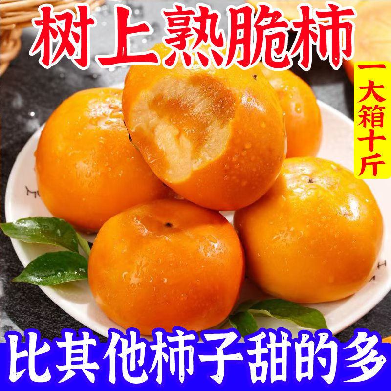 今日特价】巧克力脆柿子脆甜水果冰糖心新鲜现摘时令水果批发整箱