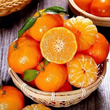广西沙糖桔，味道佳，品质佳，保质保量，规格齐全，欢迎咨询