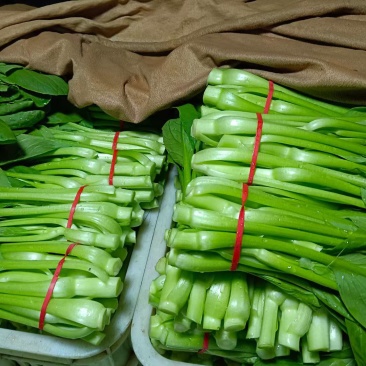 【菜心】广西菜苔现场看货挑货满意为止袋子框子按需求打包分