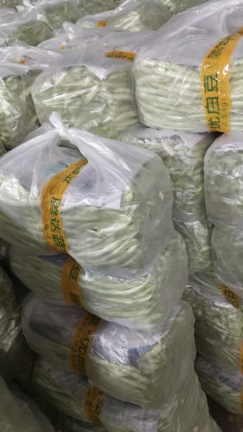 云南白豆白芸豆白不老白豆角产地直供量大从优