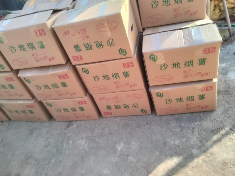 烟薯25