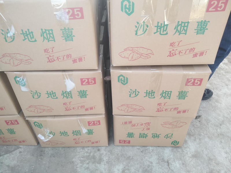 烟薯25