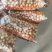 微七，沃土，荷兰，土豆精品1~3两，2-4/1-2两