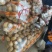 微七，沃土，荷兰，土豆精品1~3两，2-4/1-2两