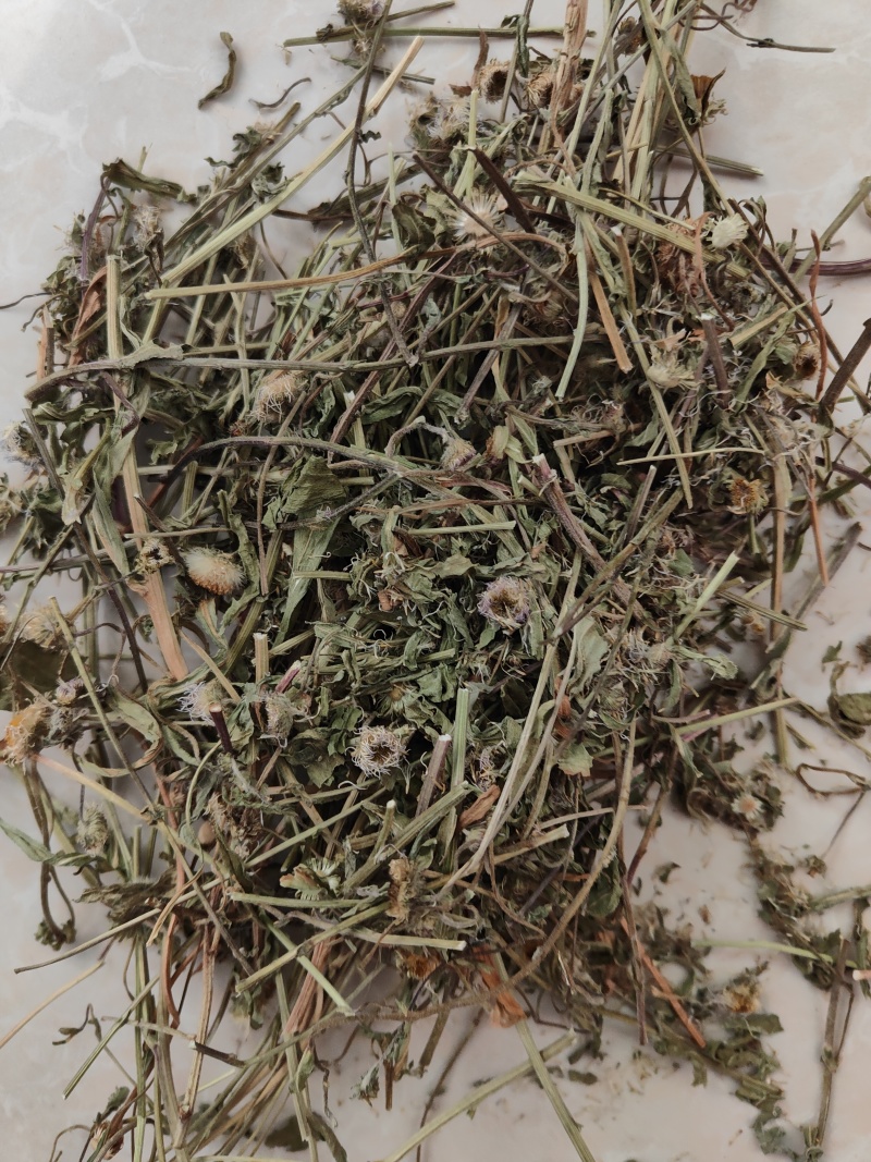 云南灯盏细辛中药材