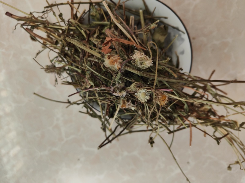 云南灯盏细辛中药材