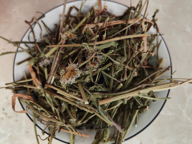 云南灯盏细辛中药材