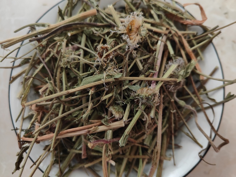 云南灯盏细辛中药材