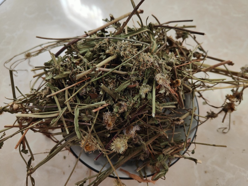 云南灯盏细辛中药材