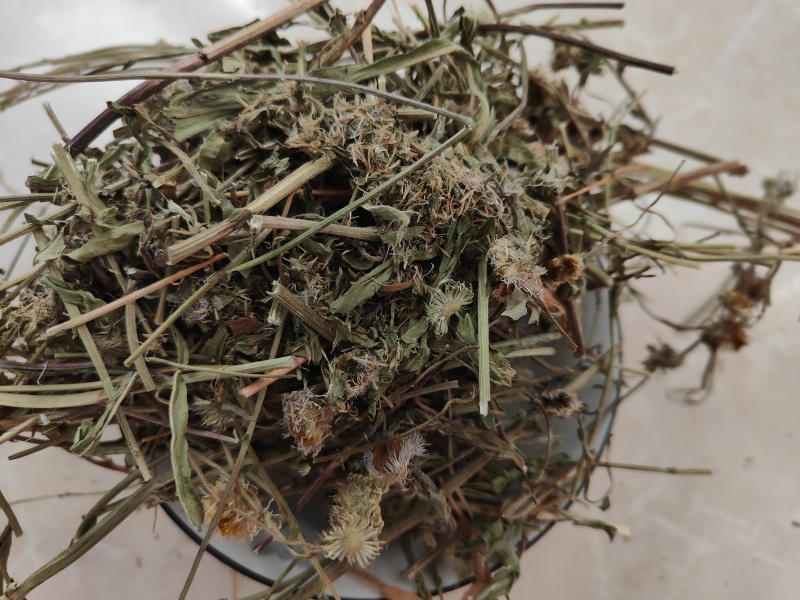 云南灯盏细辛中药材