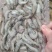 小河虾小白虾小海虾钓鱼小虾