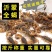 【按斤称】沂蒙山十足全蝎活体蝎子泡酒油炸煲汤虫养殖可礼盒