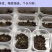 【按斤称】沂蒙山十足全蝎活体蝎子泡酒油炸煲汤虫养殖可礼盒