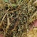各种柔丝除尘秸秆小麦秸秆玉米秸秆花生秧
