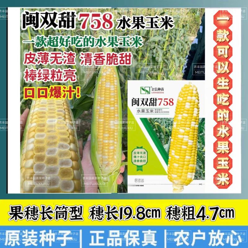 闽双甜758超甜水果玉米种子双色水果玉米种子生吃脆甜无渣