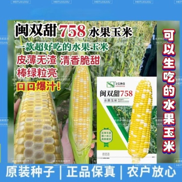 闽双甜758超甜水果玉米种子双色水果玉米种子生吃脆甜无渣
