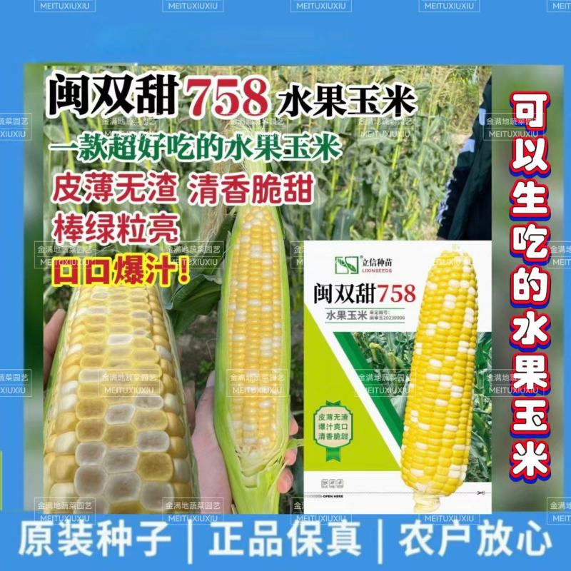 闽双甜758超甜水果玉米种子双色水果玉米种子生吃脆甜无渣