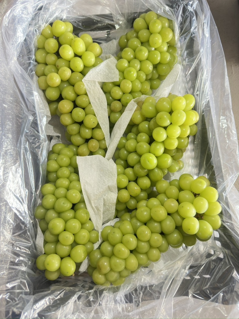 阳光玫瑰加工果榨汁果果铺奶茶专用产地直供