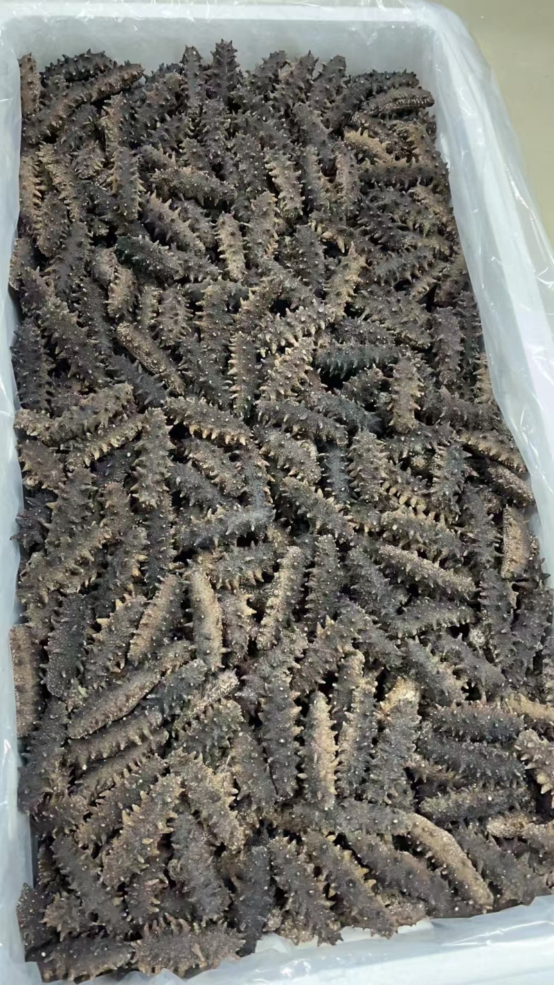 海珍品四拼礼盒山珍海味，海参鲍鱼鱼胶羊肚菌。带精美礼盒。