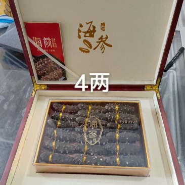 四两干参礼盒带精美木质礼盒，大个头海参。有手提袋
