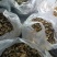 云南高山野生黑松露干片一手货源诚信经营欢迎下单