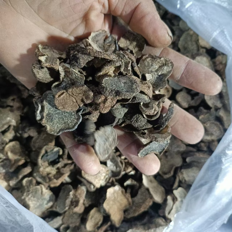 云南高山野生黑松露干片一手货源诚信经营欢迎下单