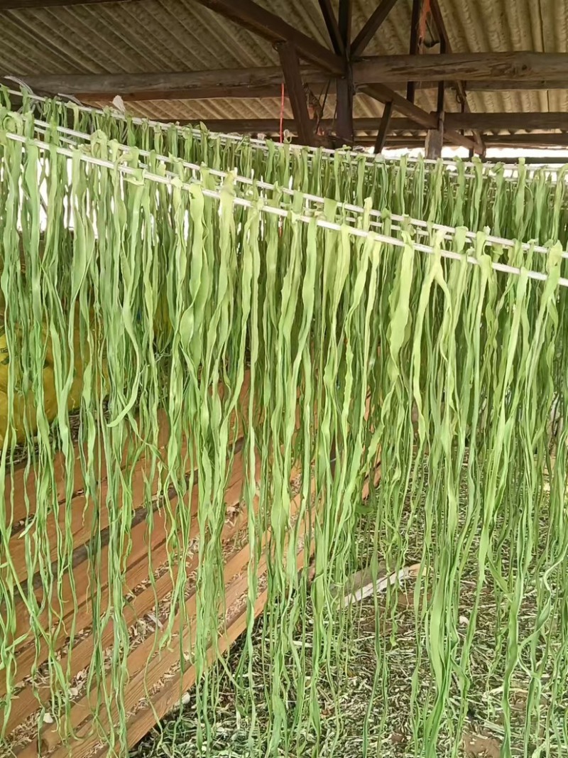 云南高山贡菜大量供应一手货源农家自制诚信经营欢迎下单