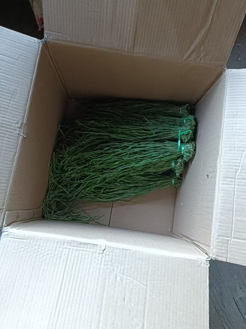 云南高山贡菜大量供应品质保证一手货源诚信经营欢迎