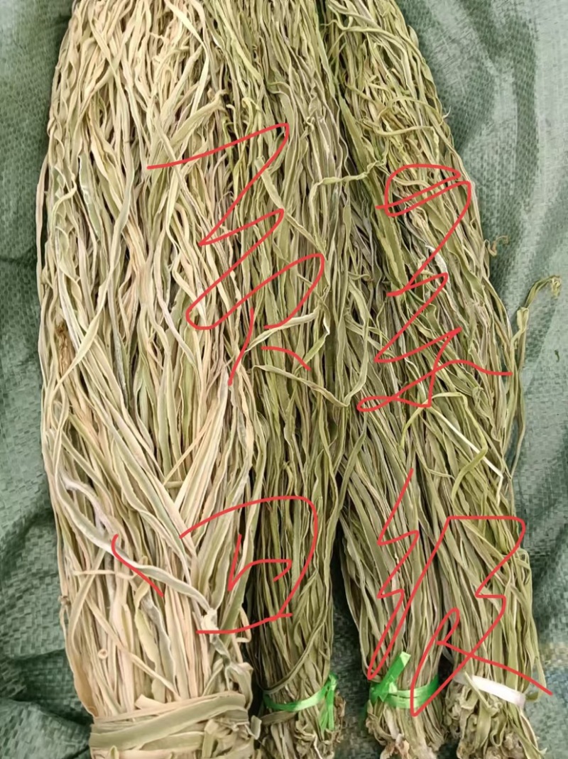 云南高山贡菜大量供应品质保证一手货源诚信经营欢迎