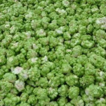 出售新鲜圆头榨菜，品质优，承接各大商家，电商