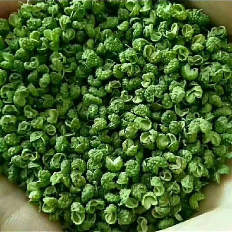 云南鲁甸龙头山青花椒