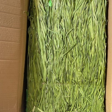云南楚雄精品贡菜/全年供货/欢迎来电咨询