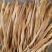 【推荐】新品黄花菜干货一级无硫白直一手货源欢迎咨询