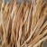 【推荐】新品黄花菜干货一级无硫白直一手货源欢迎咨询