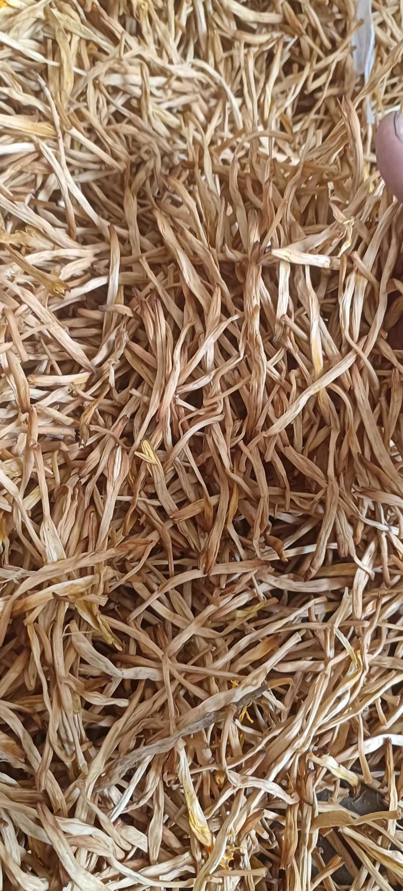 【推荐】新品黄花菜干货一级无硫白直一手货源欢迎咨询