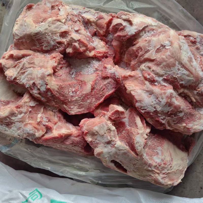 母猪一级一号肉新货
