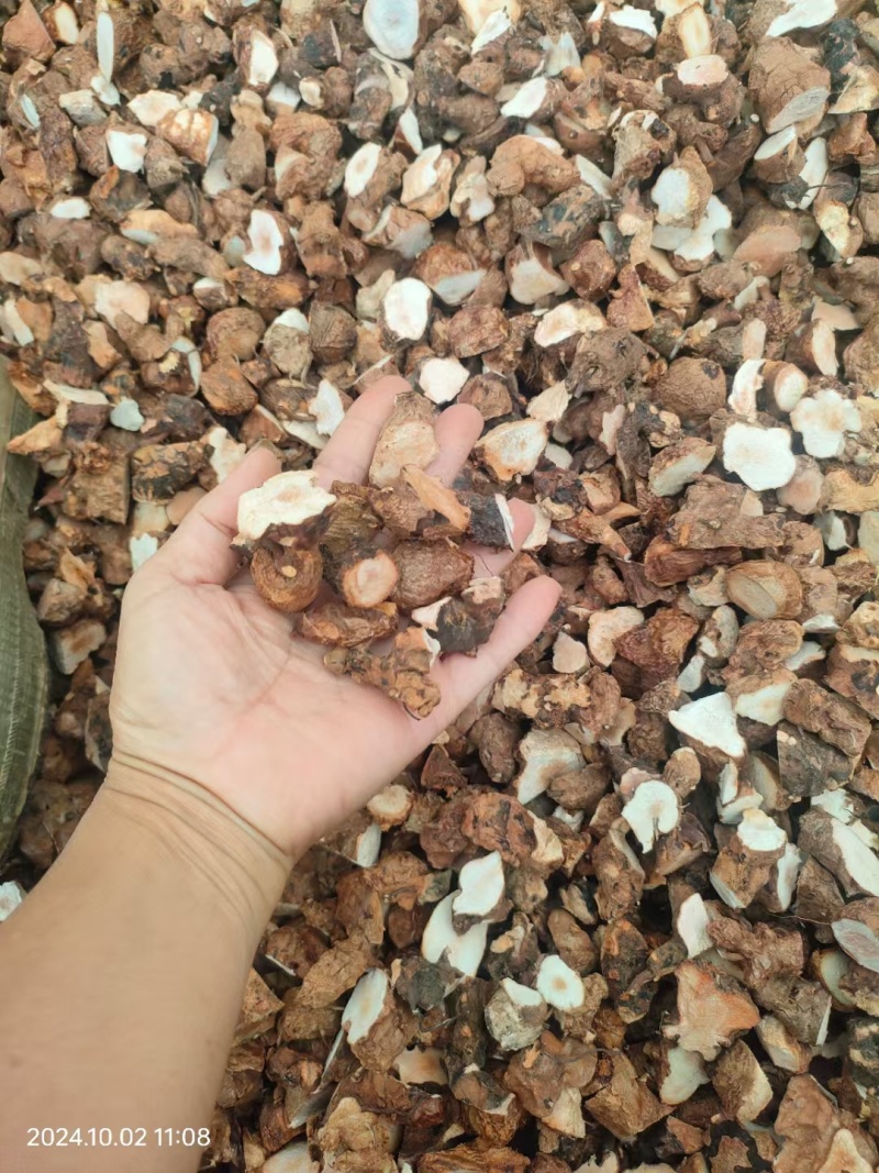 野生土茯苓/广西土茯苓/土茯苓/土茯苓干片/中药材土茯苓