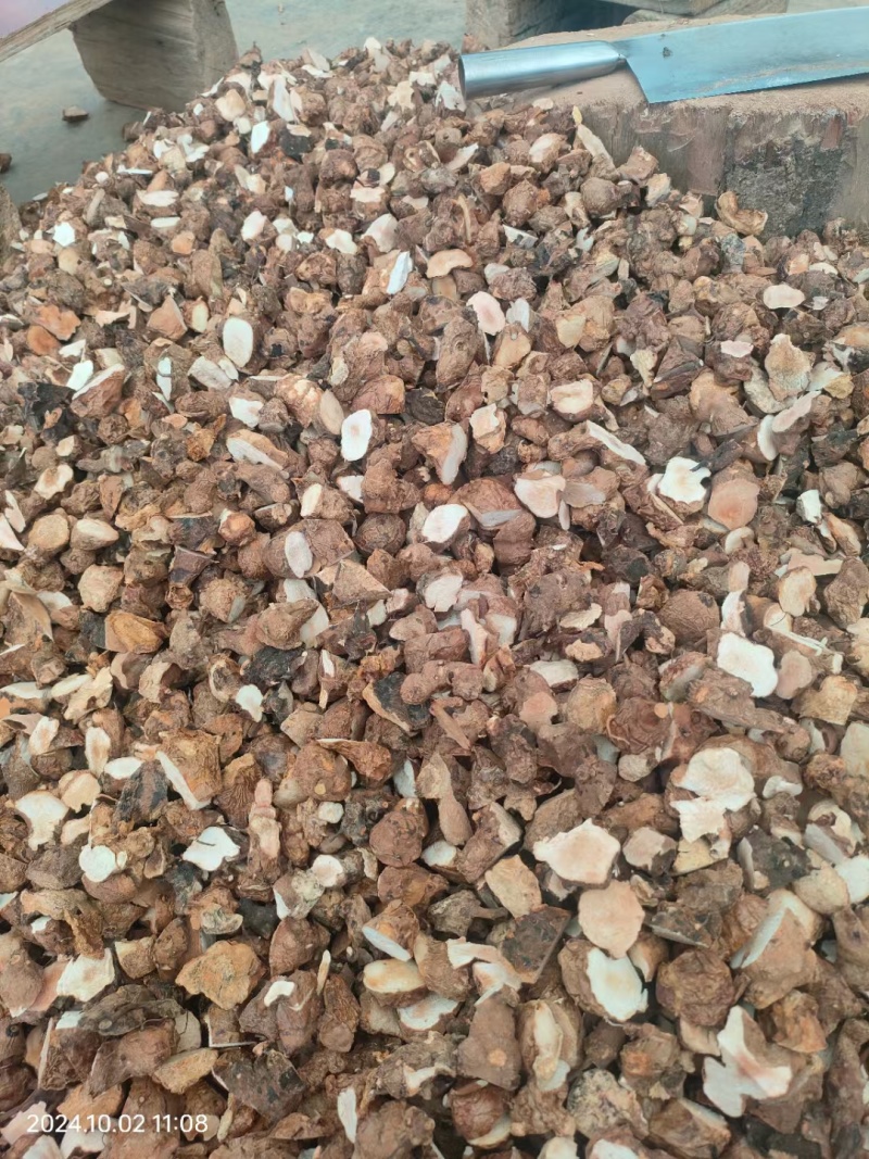 野生土茯苓/广西土茯苓/土茯苓/土茯苓干片/中药材土茯苓