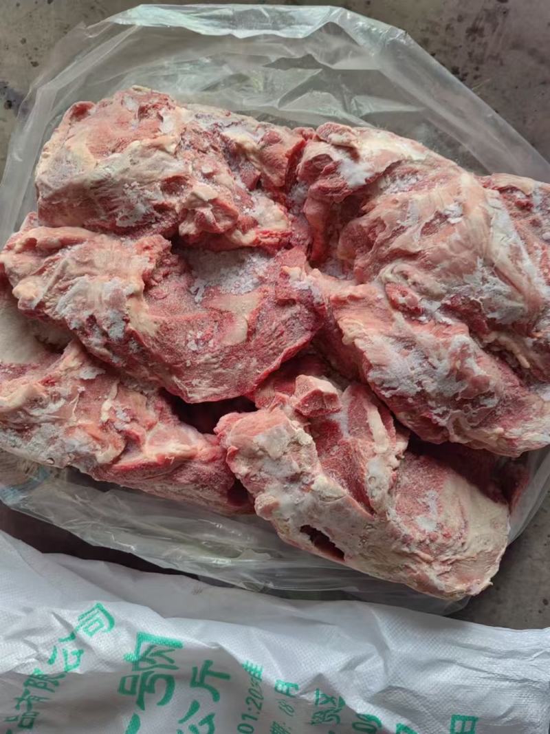 母猪一级一号肉新货