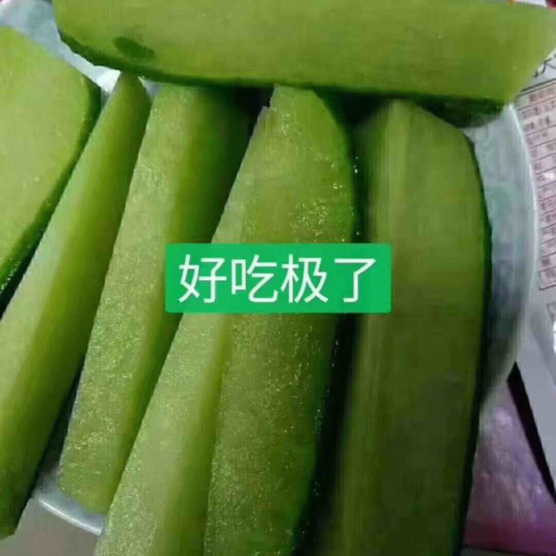 沙窝大萝卜