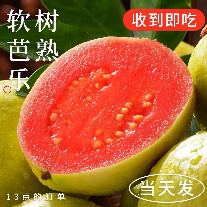 番石榴，芭乐源头直采，承接各种渠道订单