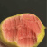 红心白心奶油芭乐番石榴商超品质