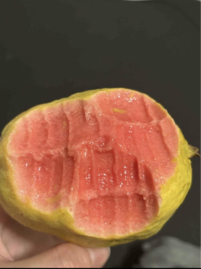 红心白心奶油芭乐番石榴商超品质