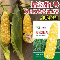 福宝甜1号水果玉米种子超甜双色水果玉米甜玉米种子生吃特甜