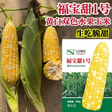 福宝甜1号水果玉米种子超甜双色水果玉米甜玉米种子生吃特甜