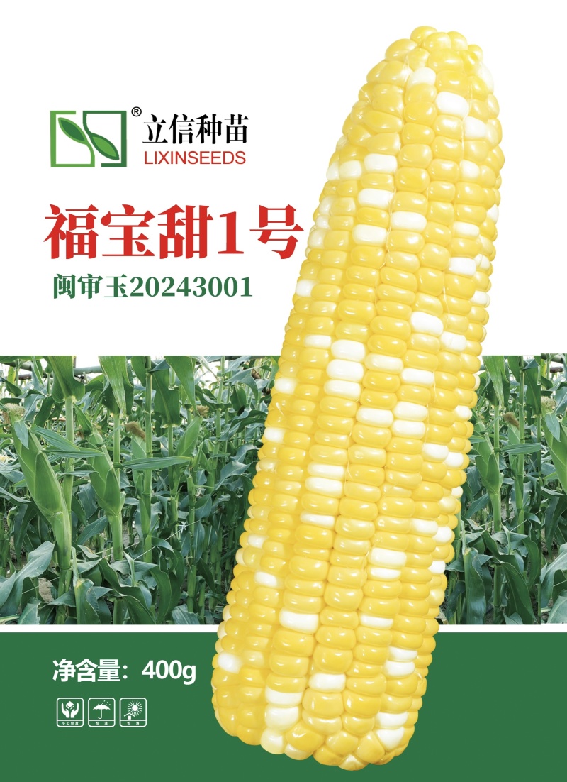福宝甜1号水果玉米种子超甜双色水果玉米甜玉米种子生吃特甜