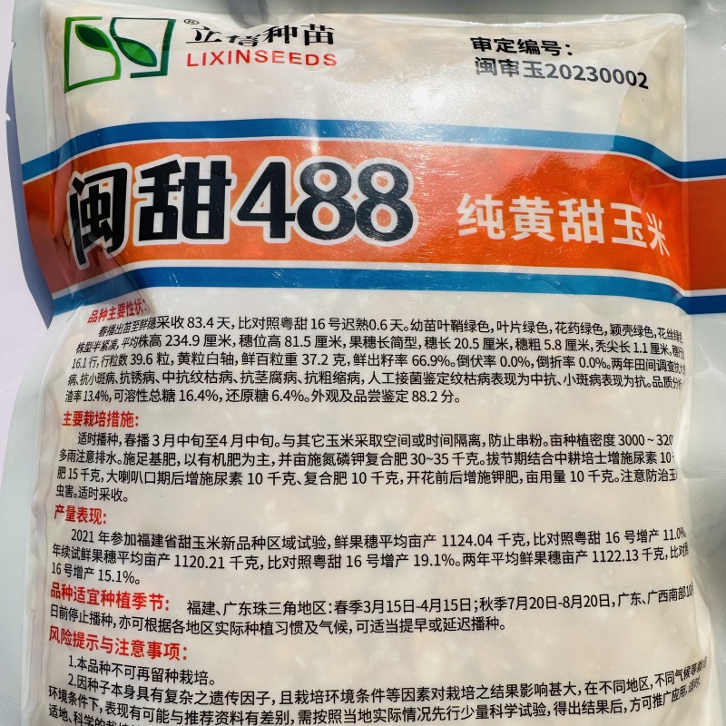 闽甜488黄甜玉米种子大棒高产超甜水果玉米种子甜玉米种子