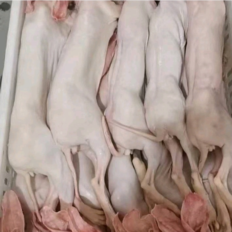 农家养殖兔肉，新鲜带皮兔肉干锅专用